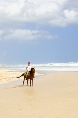 Girl riding horse on beach clipart