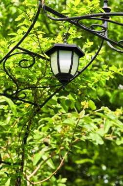 Wrought iron arbor with lantern in lush green garden clipart