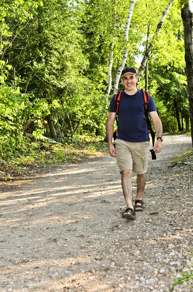 Man walking on forest trail — Stock Photo, Image