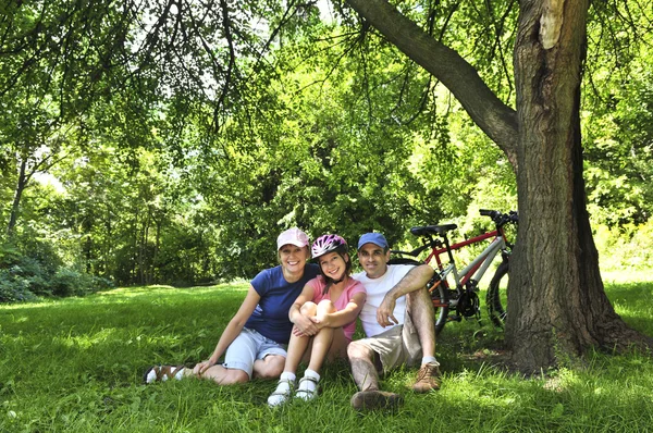 Οικογένεια Αναπαύεται Στο Πάρκο Καλοκαίρι Ποδήλατα — Φωτογραφία Αρχείου