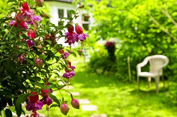 Дом и сад — стоковое фото