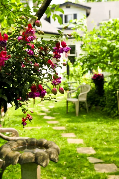 路径的踏脚石通往一个房子在郁郁葱葱的绿色园林 — 图库照片