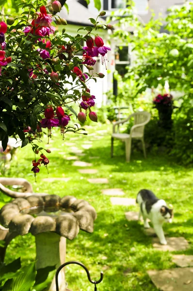家和花园 — 图库照片