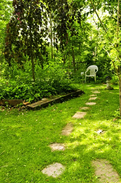 Grön trädgård — Stockfoto