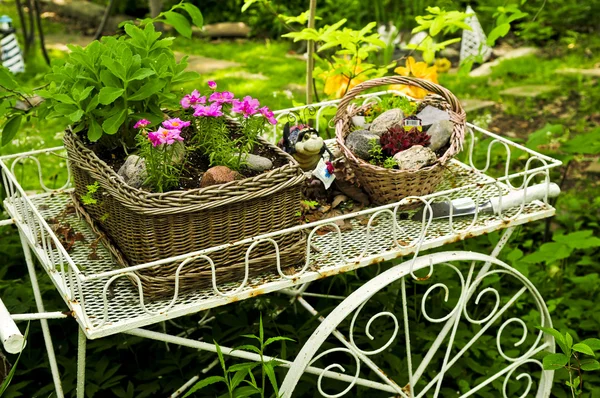Carrinho Flores Com Duas Cestas Jardim Verão — Fotografia de Stock