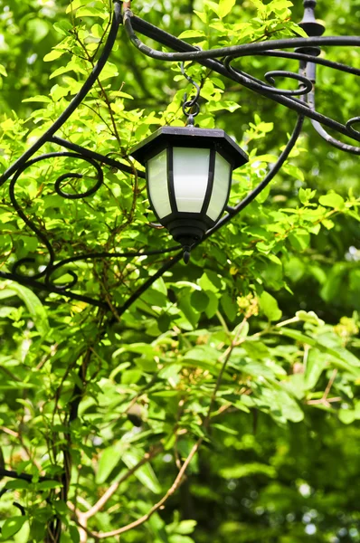 Árvore Ferro Forjado Com Lanterna Exuberante Jardim Verde — Fotografia de Stock