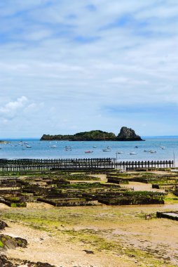 Oyster beds at low tide in Cancale (Brittany, France). clipart