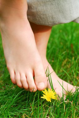 Closeup on child's bare feet in green grass clipart