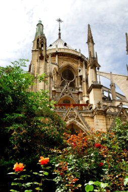 Notre Dame de Paris, gaden view with blooming roses clipart