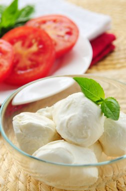 bocconcini peyniri