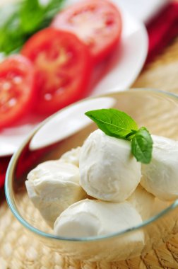 bocconcini peyniri