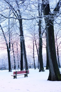 Winter park covered with snow at dusk. Beach area, Toronto, Canada. clipart