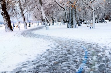 Winter park ve dinlence iz karla kaplı. plaj alanı, toronto, canada.