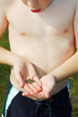 Minik kurbağa onun elinde tutan genç çocuk