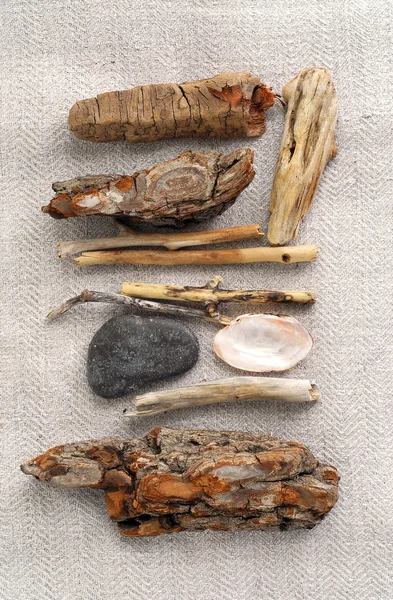 海の海岸で収集された小枝 小石浜の宝物の配置 — ストック写真