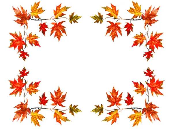 Фон Рамы Красными Листьями Клена Осенью — стоковое фото