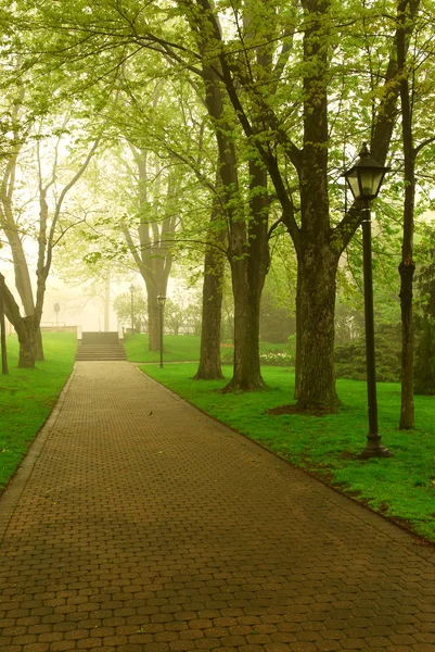 Sökvägen Grön Dimmigt Park Våren — Stockfoto