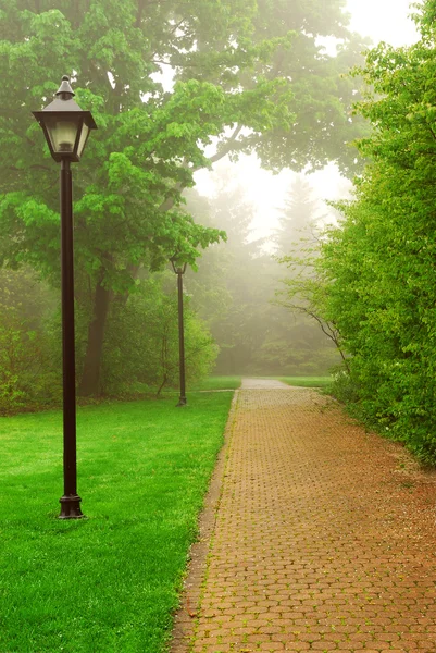 在春天的绿色雾公园中的路径 — 图库照片