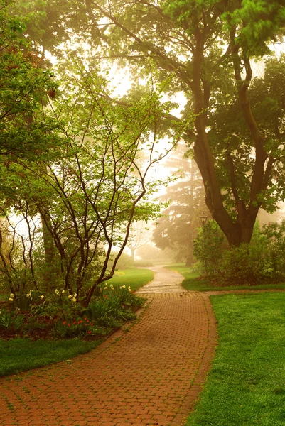 Camino Verde Parque Niebla Primavera — Foto de Stock