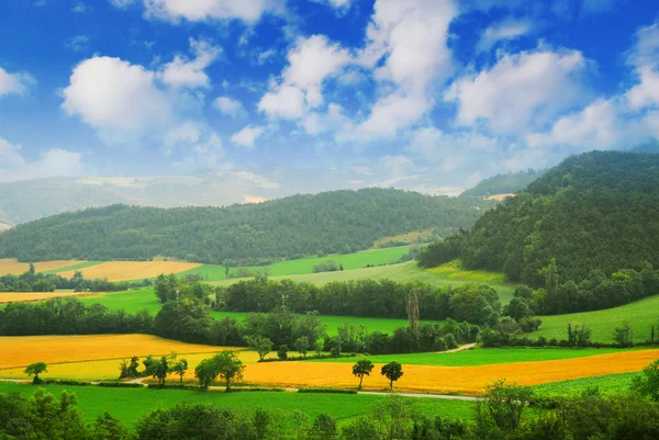 Tepeler Dağlar Doğu Fransa Ile Kırsal Manzara — Stok fotoğraf