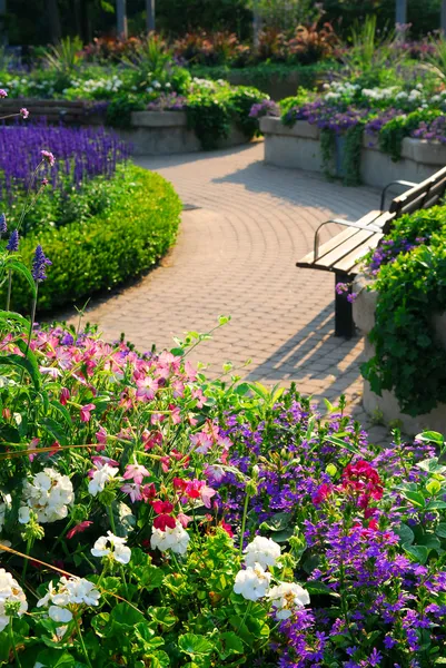 Επίσημο Κήπο Ανθισμένα Λουλούδια Καλοκαίρι — Φωτογραφία Αρχείου
