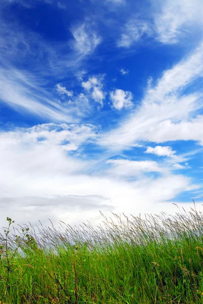 明亮的蓝天和绿草的自然背景 — 图库照片