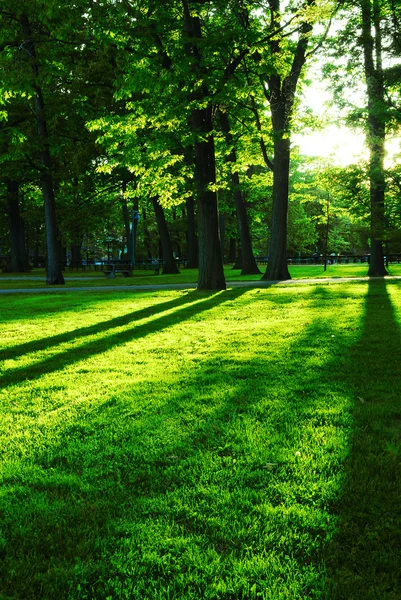 Grön park — Stockfoto