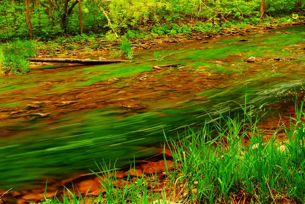 Małe Rzeki Kamieniste Dno Przepływające Przez Zielony Las — Zdjęcie stockowe