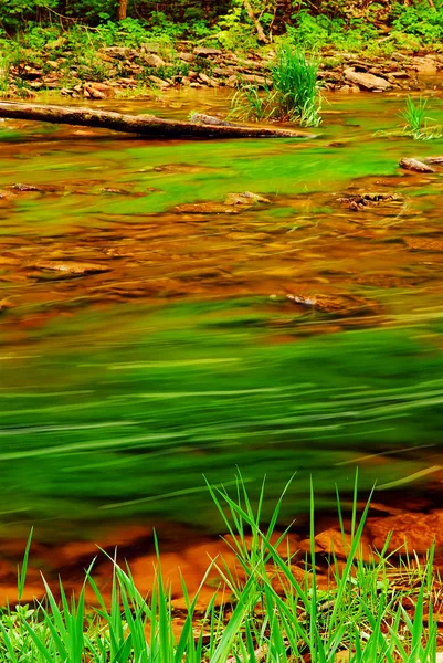 Rio Florestal — Fotografia de Stock