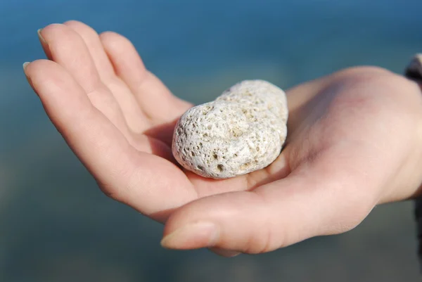 Child Hand Holding Porous Beach Pebble — Stock Photo, Image