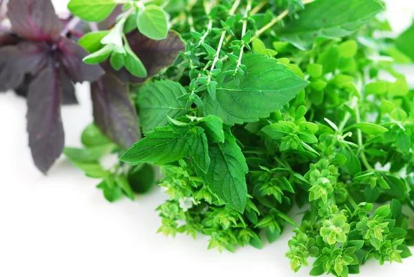 Bunch Fresh Assorted Herbs White Background — Stock Photo, Image