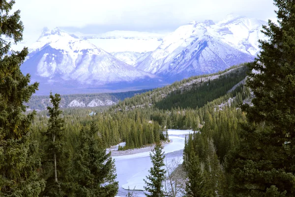 Paisagem Altas Montanhas Nevadas Com Árvores Verdes Rio Congelado — Fotografia de Stock