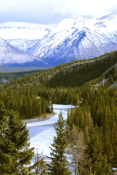 冷凍川と Evegreen 木高雪に覆われた山の風景 — ストック写真
