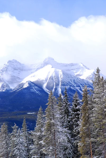 Schneebedeckte Bergrücken Lake Louise Den Kanadischen Felsenbergen — Stockfoto