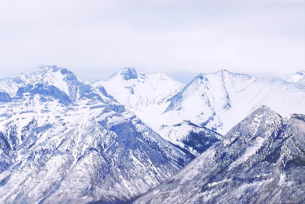 カナダのロッキー山脈の雪に覆われた高山の風景 — ストック写真