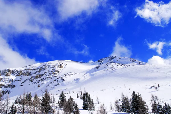 Schneebedeckte Berggipfel Kanadischen Rockies Mit Strahlend Blauem Himmel Und Schneeflocken — Stockfoto