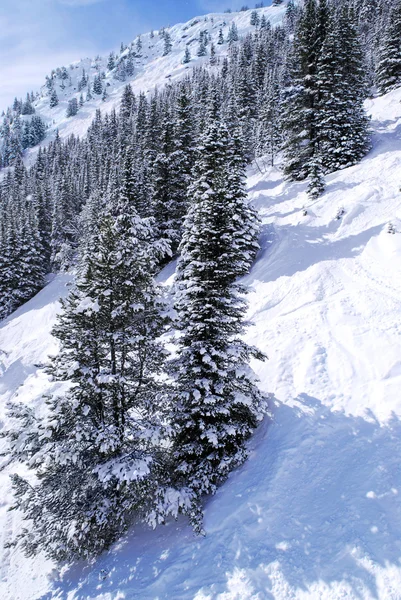 Tras narciarskich w górach — Zdjęcie stockowe
