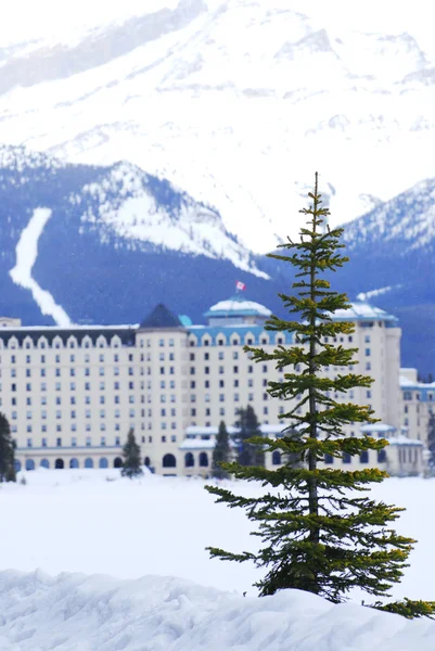 Chateau Lake Louise Kanadensiska Klippiga Bergen Vintern — Stockfoto