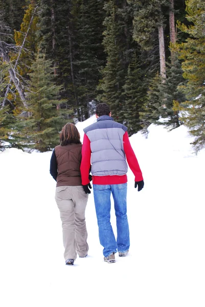 年轻的夫妇在雪地痕迹在冬天森林里行走的 — 图库照片
