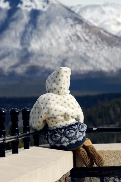 Junges Mädchen Genießt Bergblick Den Kanadischen Rockies — Stockfoto