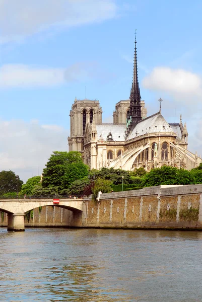 Catedral Notre Dame Paris Isla Cite — Foto de Stock