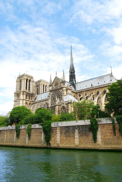 Catedral Notre Dame Paris Vista Lateral Com Janela Rosa Paris — Fotografia de Stock