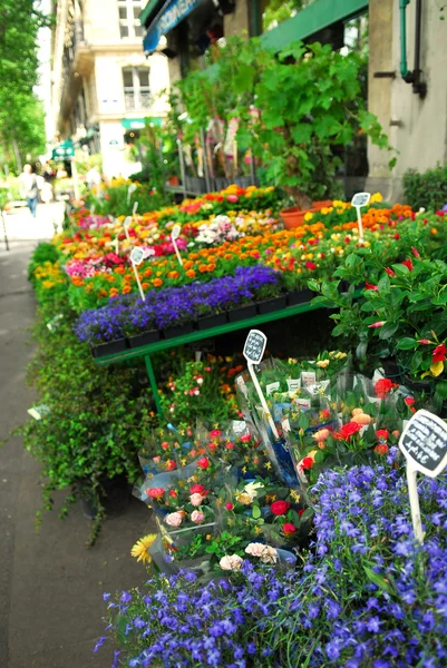 Colorido Puesto Flores Una Acera París Francia —  Fotos de Stock