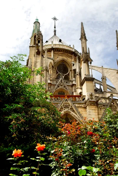 Notre Dame Paris Vista Gaden Com Rosas Florescentes — Fotografia de Stock
