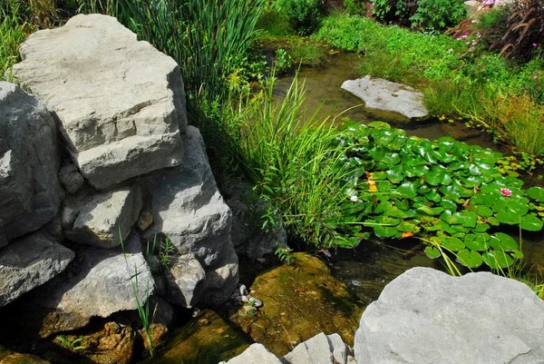 Pond landscaping — Stock Photo, Image