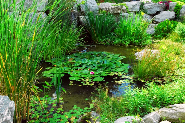 Upravenost Přírodní Kamenný Rybník Vodní Rostliny Vodní Lilie — Stock fotografie