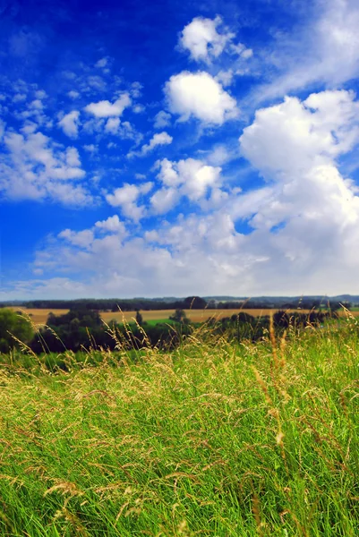 曇りの青い空と夏の田園風景 — ストック写真