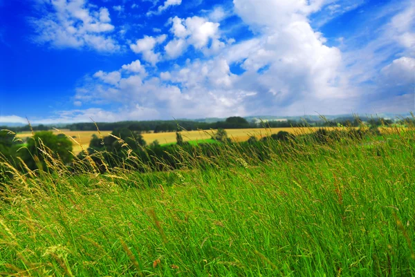 曇りの青い空と夏の田園風景 — ストック写真