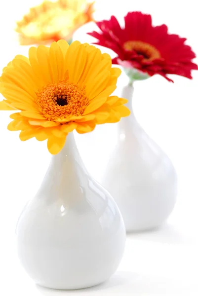 Interior design vases — Stock Photo, Image