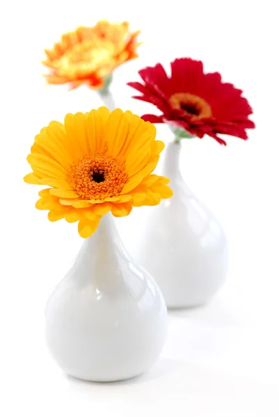 インテリア デザインの花瓶 — ストック写真